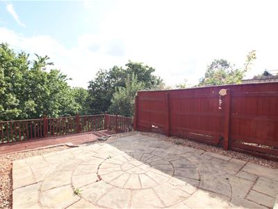 Picture 15